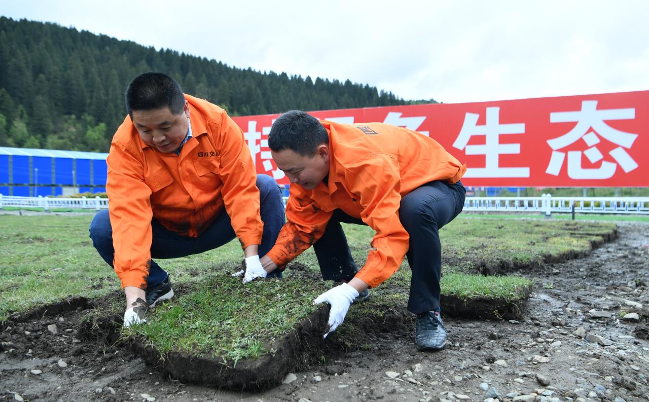 久马高速建设者正在堆放草甸.jpg